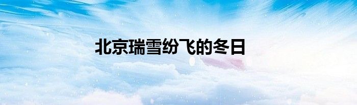 北京瑞雪纷飞的冬日