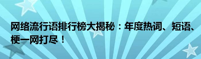 网络流行语排行榜大揭秘：年度热词、短语、梗一网打尽！