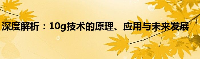 深度解析：10g技术的原理、应用与未来发展
