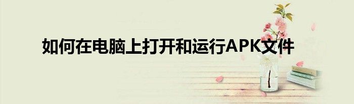 如何在电脑上打开和运行APK文件