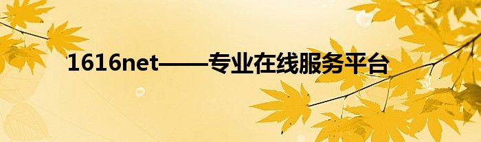 1616net——专业在线服务平台