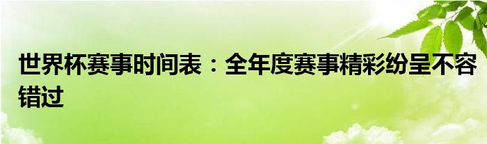 世界杯赛事时间表：全年度赛事精彩纷呈不容错过