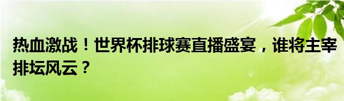 热血激战！世界杯排球赛直播盛宴，谁将主宰排坛风云？