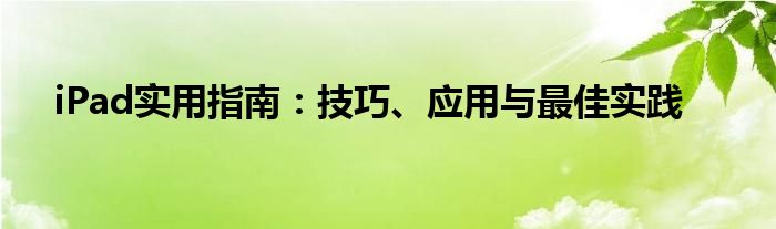 iPad实用指南：技巧、应用与最佳实践