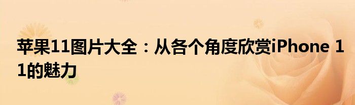 苹果11图片大全：从各个角度欣赏iPhone 11的魅力