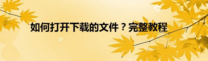 如何打开下载的文件？完整教程