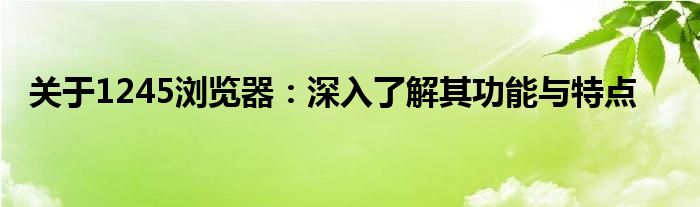 关于1245浏览器：深入了解其功能与特点