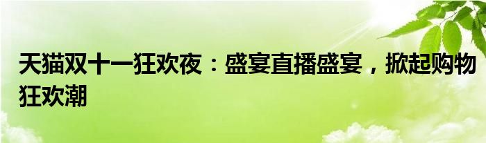 天猫双十一狂欢夜：盛宴直播盛宴，掀起购物狂欢潮