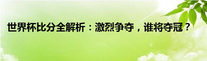 世界杯比分全解析：激烈争夺，谁将夺冠？