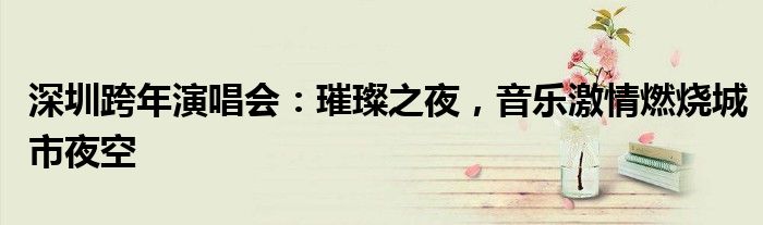 深圳跨年演唱会：璀璨之夜，音乐激情燃烧城市夜空