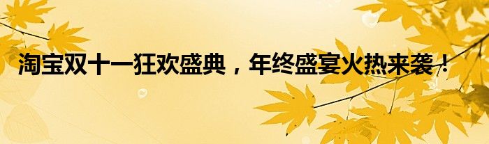 淘宝双十一狂欢盛典，年终盛宴火热来袭！