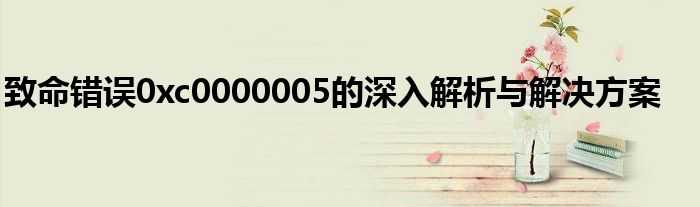 致命错误0xc0000005的深入解析与解决方案