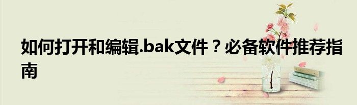 如何打开和编辑.bak文件？必备软件推荐指南