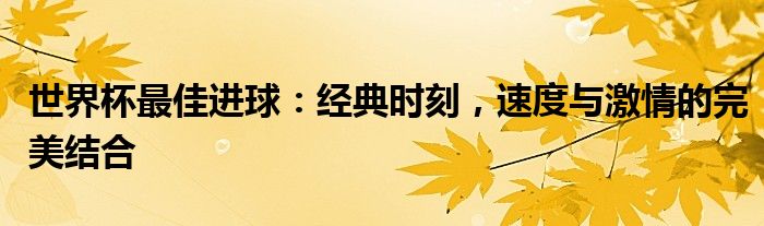 世界杯最佳进球：经典时刻，速度与激情的完美结合
