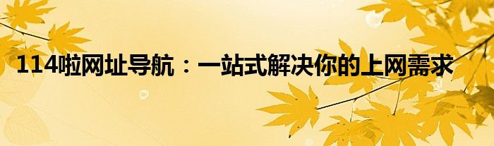 114啦网址导航：一站式解决你的上网需求