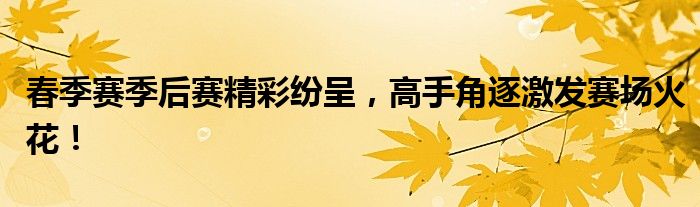 春季赛季后赛精彩纷呈，高手角逐激发赛场火花！