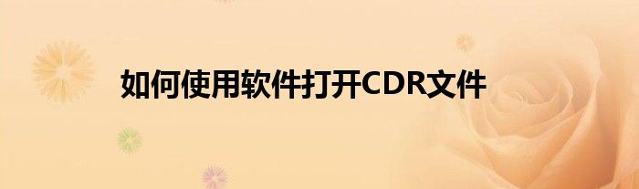 如何使用软件打开CDR文件