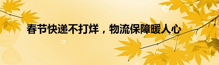 春节快递不打烊，物流保障暖人心