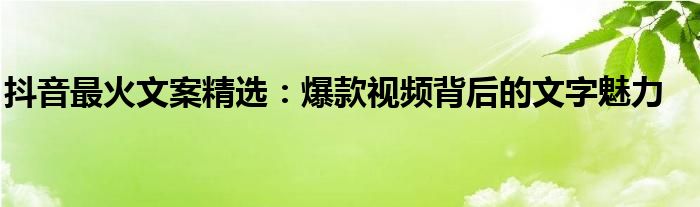 抖音最火文案精选：爆款视频背后的文字魅力