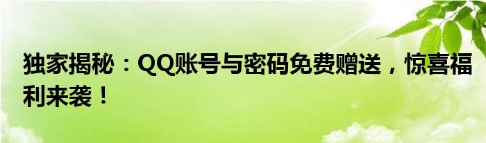 独家揭秘：QQ账号与密码免费赠送，惊喜福利来袭！