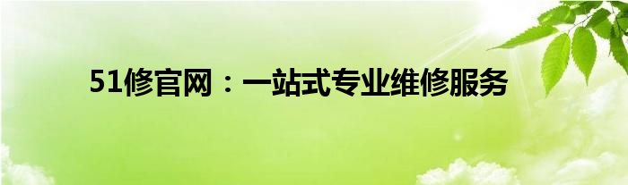 51修官网：一站式专业维修服务
