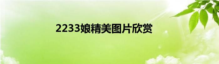 2233娘精美图片欣赏