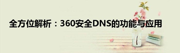 全方位解析：360安全DNS的功能与应用