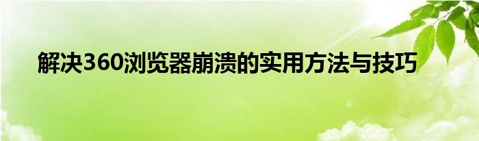 解决360浏览器崩溃的实用方法与技巧