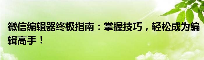 微信编辑器终极指南：掌握技巧，轻松成为编辑高手！