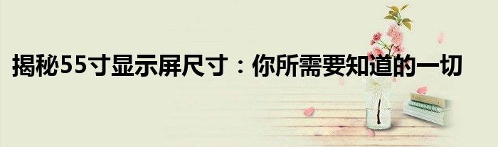 揭秘55寸显示屏尺寸：你所需要知道的一切