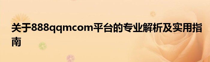 关于888qqmcom平台的专业解析及实用指南