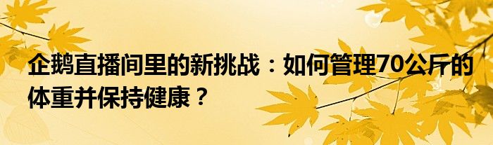 企鹅直播间里的新挑战：如何管理70公斤的体重并保持健康？