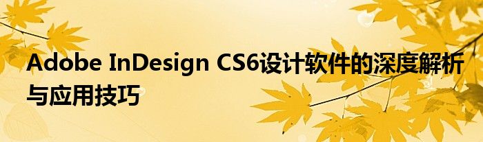 Adobe InDesign CS6设计软件的深度解析与应用技巧