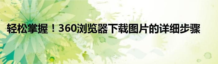 轻松掌握！360浏览器下载图片的详细步骤