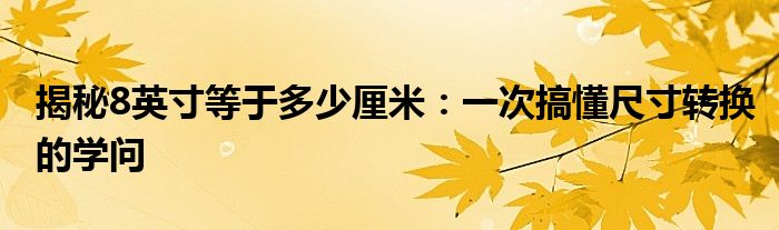 揭秘8英寸等于多少厘米：一次搞懂尺寸转换的学问