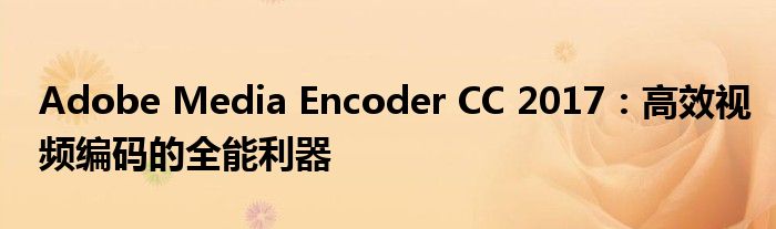 Adobe Media Encoder CC 2017：高效视频编码的全能利器