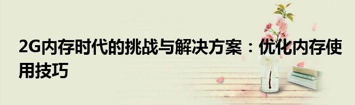 2G内存时代的挑战与解决方案：优化内存使用技巧