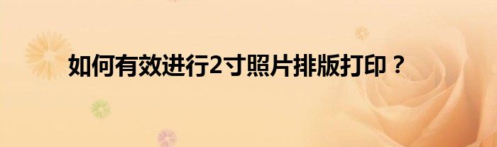 如何有效进行2寸照片排版打印？