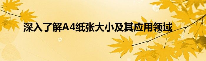 深入了解A4纸张大小及其应用领域