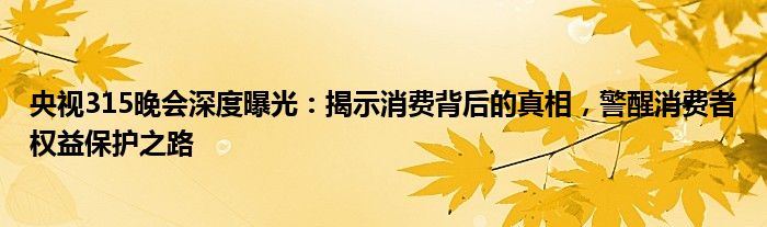 央视315晚会深度曝光：揭示消费背后的真相，警醒消费者权益保护之路