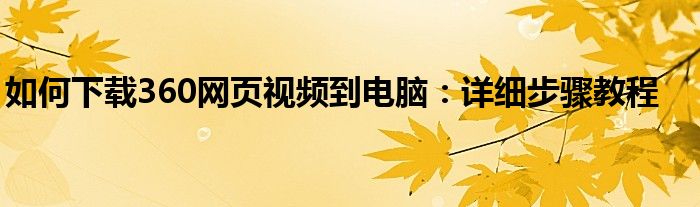 如何下载360网页视频到电脑：详细步骤教程
