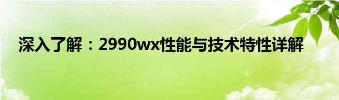 深入了解：2990wx性能与技术特性详解