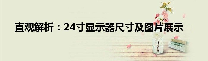 直观解析：24寸显示器尺寸及图片展示