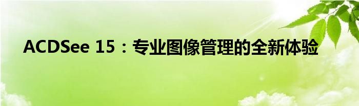ACDSee 15：专业图像管理的全新体验