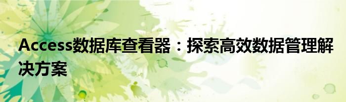 Access数据库查看器：探索高效数据管理解决方案