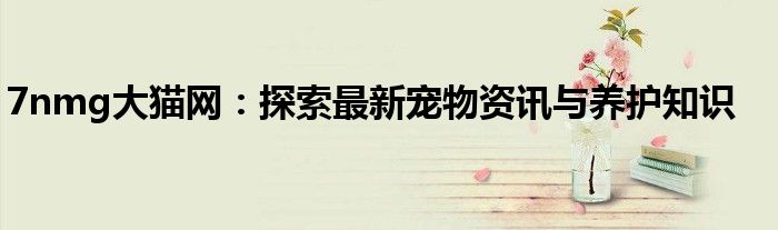 7nmg大猫网：探索最新宠物资讯与养护知识