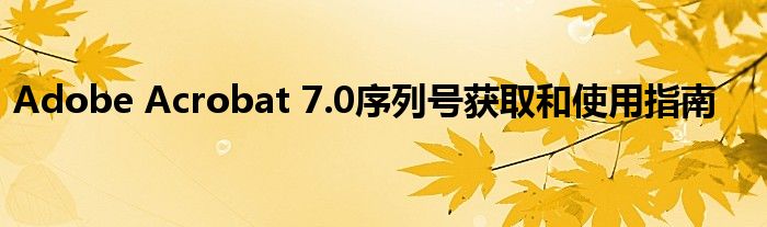 Adobe Acrobat 7.0序列号获取和使用指南