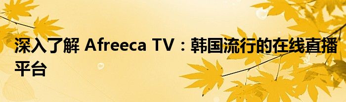 深入了解 Afreeca TV：韩国流行的在线直播平台