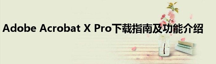Adobe Acrobat X Pro下载指南及功能介绍