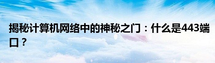 揭秘计算机网络中的神秘之门：什么是443端口？